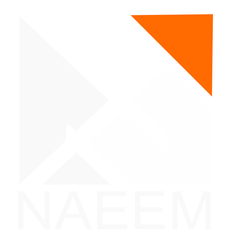 NAEEM Holding Logo